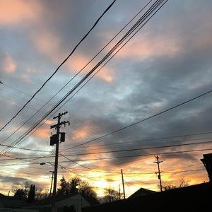 Meet your Posher, Molly